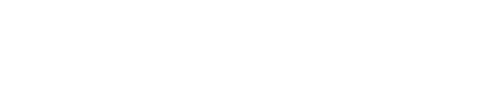 gis-global-intelligence-services